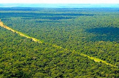 Efeitos de estradas no desmatamento na Amazônia Central
