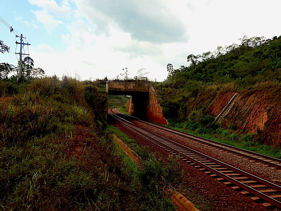 Passagem superior vegetada sobre a ferrovia da Vale, Pará
